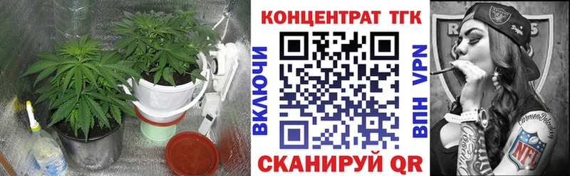 это телеграм  Пущино  ТГК концентрат  hydra  